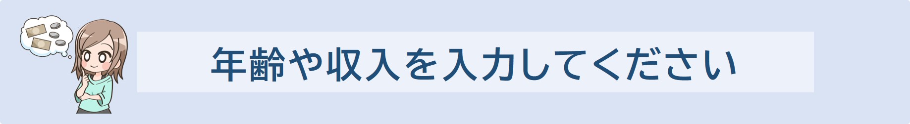 年齢や収入を入力してください