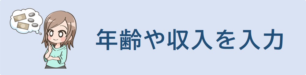 年齢や収入を入力してください